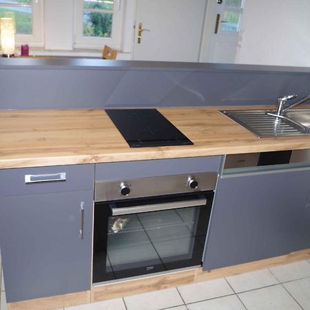 Ferien-Wohnung Am Menzer-Park Neckargemünd Kültér fotó